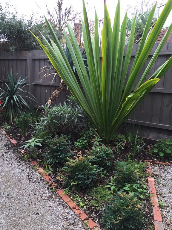 Garden Cottage St Kilda 墨尔本 外观 照片